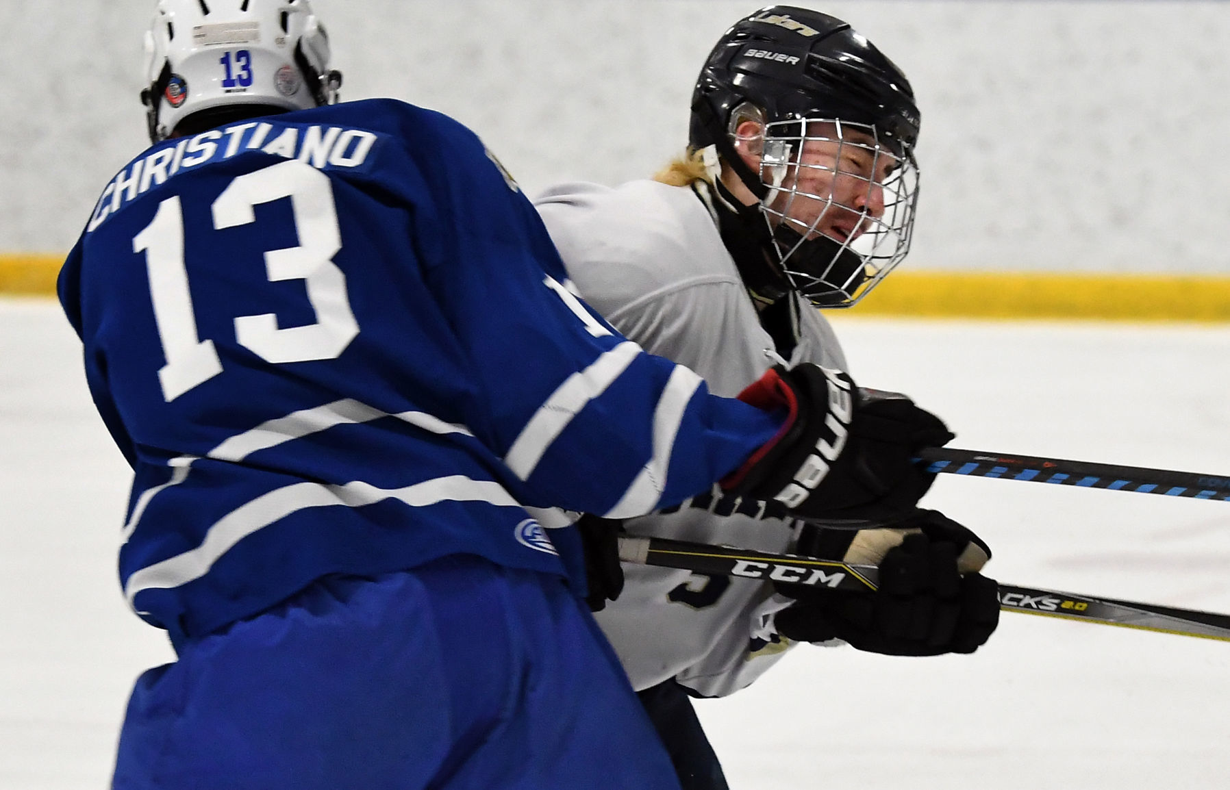Skaneateles Grand Island 8.JPG